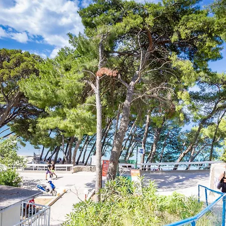 Beachfront Tide Srzic Apartment *